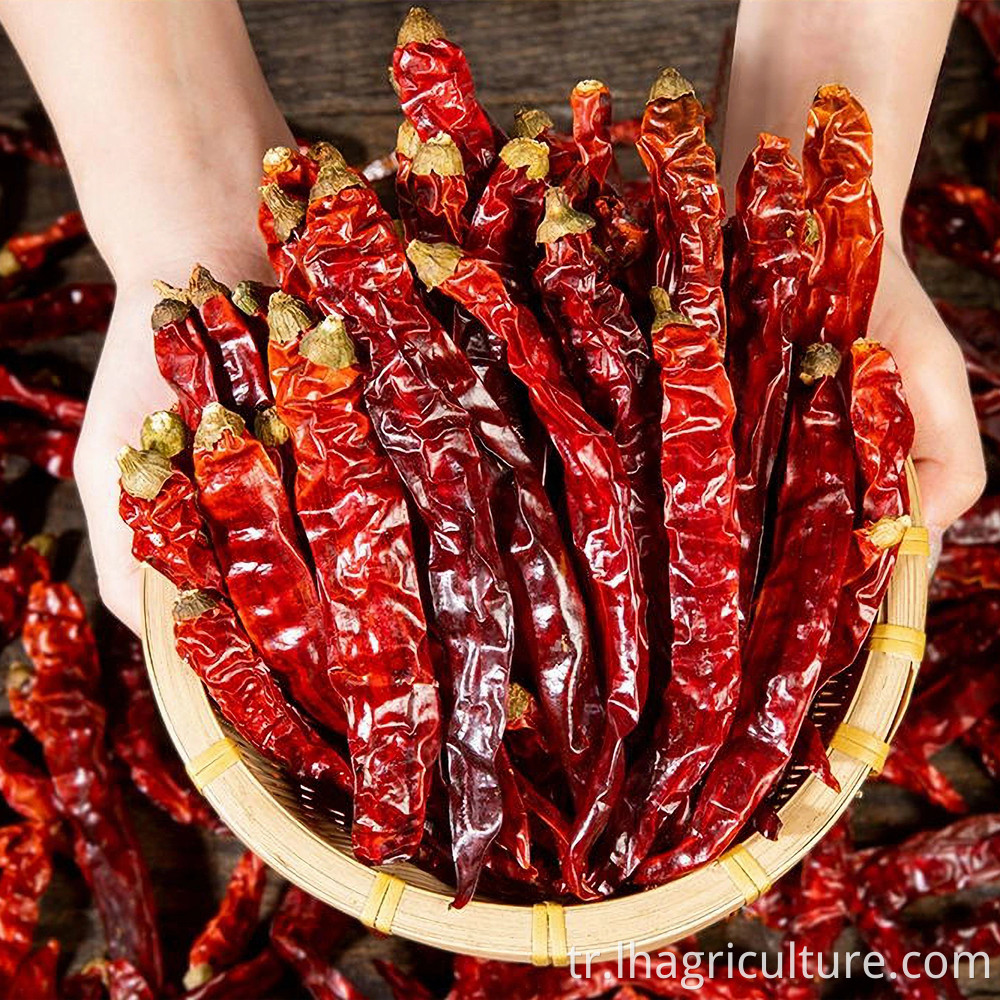 Sichuan Long Chili Price